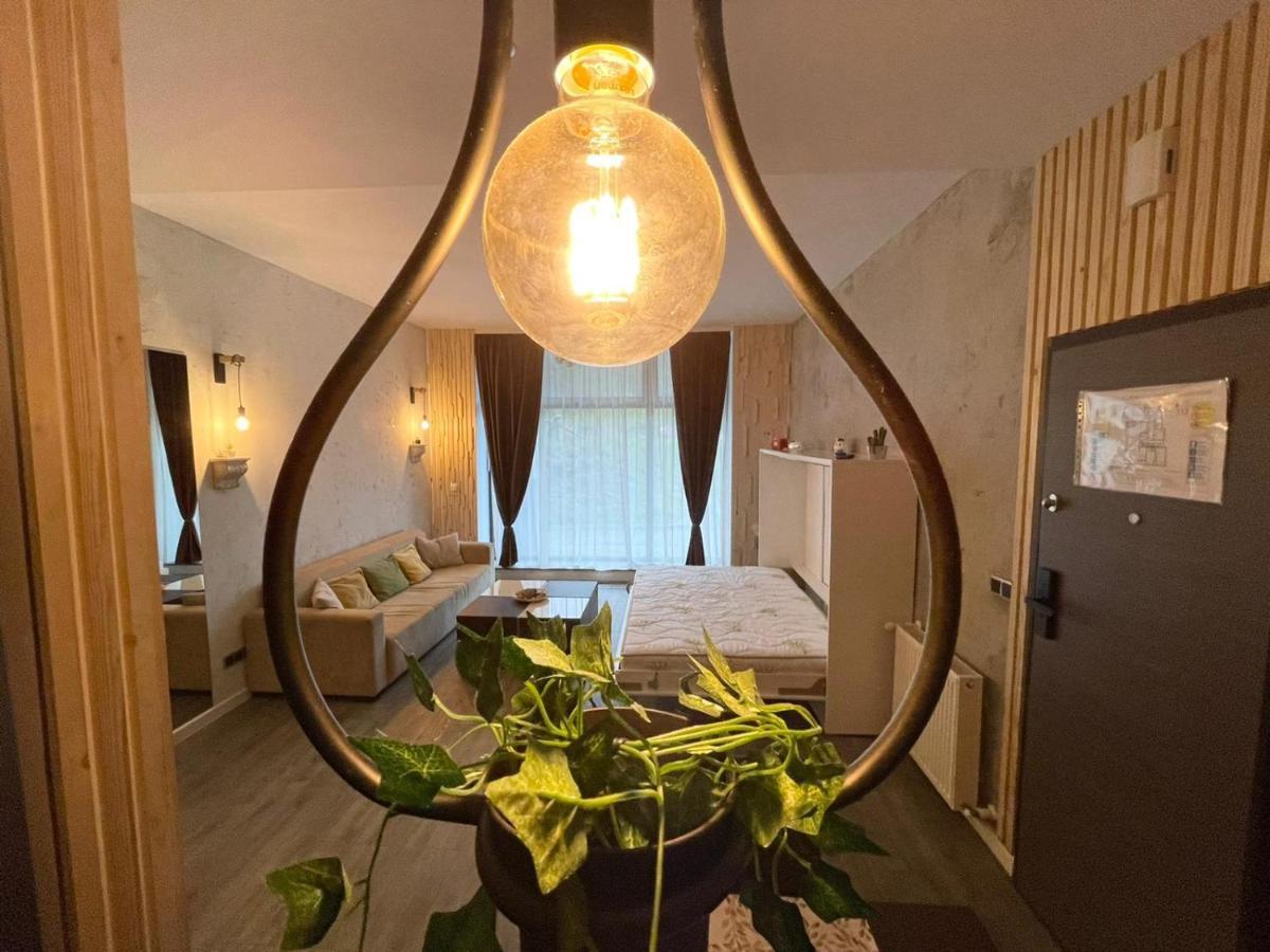 Mat Rent Poiana Brasovアパートメント エクステリア 写真